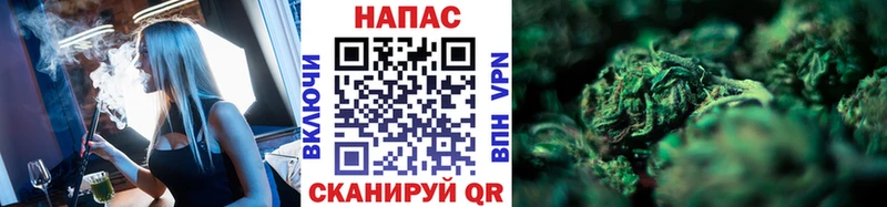 Купить где Куйбышев Конопля SATIVA & INDICA